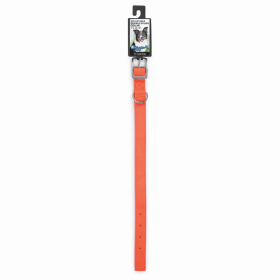 DGR 1in Nylon Collar 18in Neon Org
