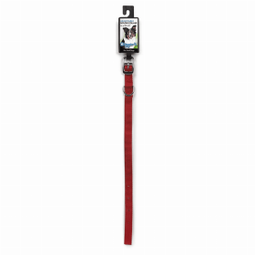 DGR 5/8in Nylon Collar 18in Red