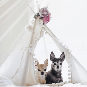 Mini Camp TEEPEE - SMALL