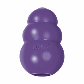 KONG(R) Senior Dog Chew Toy