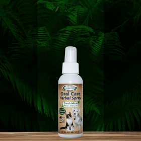 Oral Care Herbal Spray-  Fresh Mint for Cats or Dogs