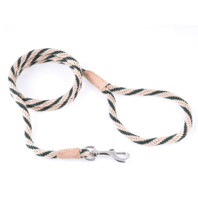 Nylon Snap Leads (4 ft  x 1/8in or 4mm) (Color: Gold / Hunter Green, size: 4 ft  x 1/8in or 4mm)