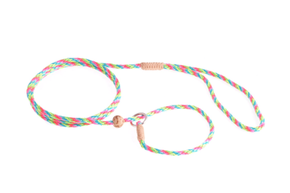 Nylon Slip Lead With Stopper (4 ft  x 1/8in or 4mm) (Color: Multineon, size: 4 ft  x 1/8in or 4mm)