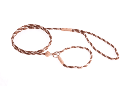Nylon Slip Lead With Stopper (4 ft  x 1/8in or 4mm) (Color: Brown Combination, size: 4 ft  x 1/8in or 4mm)