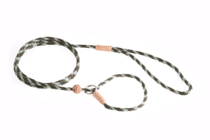 Nylon Slip Lead With Stopper (4 ft  x 1/8in or 4mm) (Color: Green Combination, size: 4 ft  x 1/8in or 4mm)