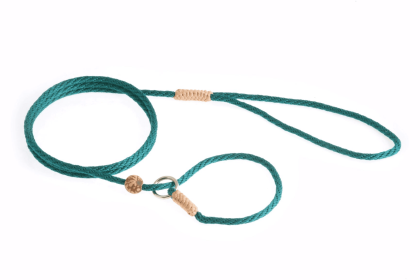 Nylon Slip Lead With Stopper (4 ft  x 1/8in or 4mm) (Color: Pine Green, size: 4 ft  x 1/8in or 4mm)