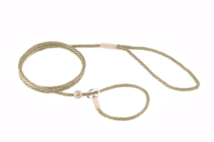 Nylon Slip Lead With Stopper (4 ft  x 1/8in or 4mm) (Color: Olive Green, size: 4 ft  x 1/8in or 4mm)