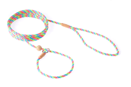 Nylon Slip Lead With Stopper (6 ft  x 1/8in or 4mm) (Color: Multineon, size: 6 ft  x 1/8in or 4mm)