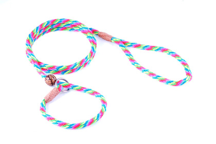 Nylon Slip Lead With Stopper (4 ft  x 1/4in or 6mm) (Color: Multineon, size: 4 ft  x 1/4in or 6mm)