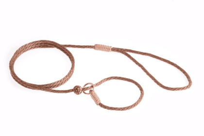 Nylon Slip Lead With Stopper (4 ft  x 1/8in or 4mm) (Color: Light Brown, size: 4 ft  x 1/8in or 4mm)