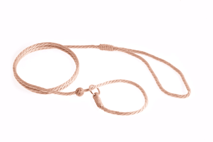 Nylon Slip Lead With Stopper (4 ft  x 1/8in or 4mm) (Color: Beige, size: 4 ft  x 1/8in or 4mm)