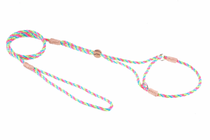 Nylon Martingale Leads (8in x 1/8in or 4mm) (Color: Multineon, size: 8in x 1/8in or 4mm)