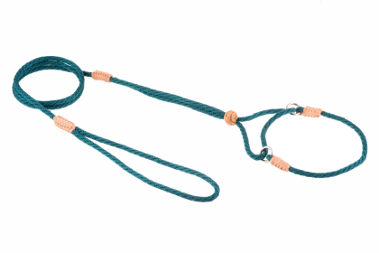 Nylon Martingale Leads (8in x 1/8in or 4mm) (Color: Pine Green, size: 8in x 1/8in or 4mm)