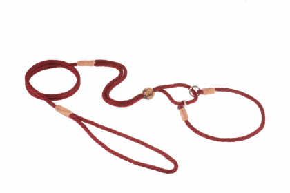 Nylon Martingale Leads (10in x 1/8in or 4mm) (Color: Burgundy, size: 10in x 1/8in or 4mm)