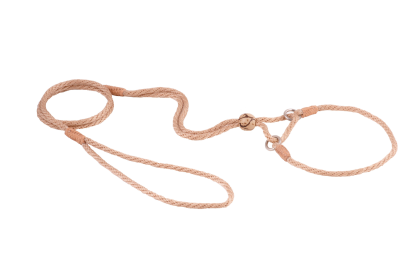 Nylon Martingale Leads (10in x 1/8in or 4mm) (Color: Beige, size: 10in x 1/8in or 4mm)