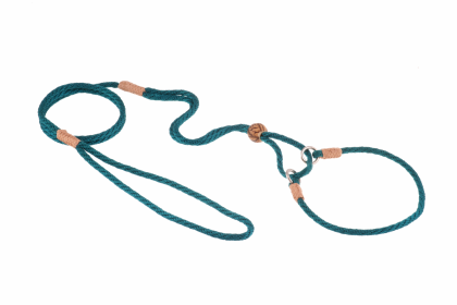 Nylon Martingale Leads (10in x 1/8in or 4mm) (Color: Pine Green, size: 10in x 1/8in or 4mm)