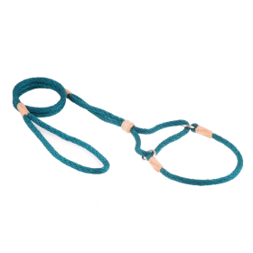 Nylon Martingale Leads (10in x 1/4in or 6mm) (Color: Pine Green, size: 10in x 1/4in or 6mm)