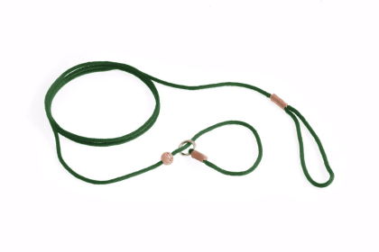 Nylon Slip Lead With Stopper (4 ft  x 1/16 or 2 mm) (Color: Hunter Green, size: 4 ft  x 1/16 or 2 mm)