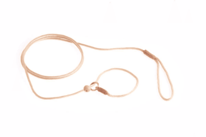 Nylon Slip Lead With Stopper (4 ft  x 1/16 or 2 mm) (Color: Gold, size: 4 ft  x 1/16 or 2 mm)