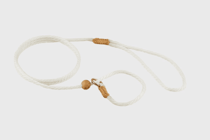 Nylon Slip Lead With Stopper (4 ft  x 1/8in or 4mm) (Color: White Nylon, size: 4 ft  x 1/8in or 4mm)