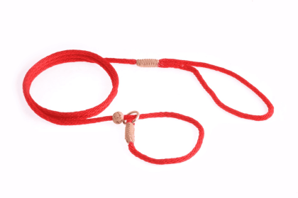 Nylon Slip Lead With Stopper (4 ft  x 1/8in or 4mm) (Color: Red, size: 4 ft  x 1/8in or 4mm)