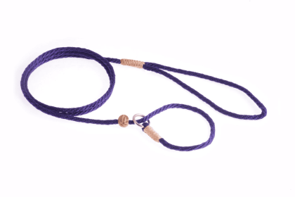Nylon Slip Lead With Stopper (4 ft  x 1/8in or 4mm) (Color: Purple, size: 4 ft  x 1/8in or 4mm)