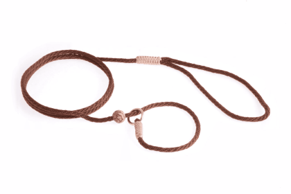 Nylon Slip Lead With Stopper (4 ft  x 1/8in or 4mm) (Color: Brown, size: 4 ft  x 1/8in or 4mm)