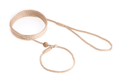Nylon Slip Lead With Stopper (6 ft  x 1/8in or 4mm) (Color: Gold, size: 6 ft  x 1/8in or 4mm)