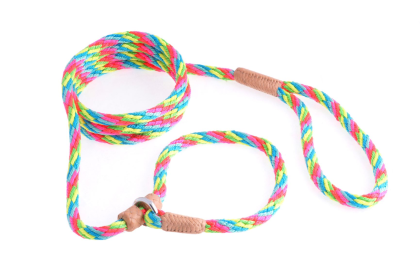 Nylon Slip Leash With 2 Stoppers (6ft  x 5/16in or 8mm) (Color: Multineon, size: 6ft  x 5/16in or 8mm)