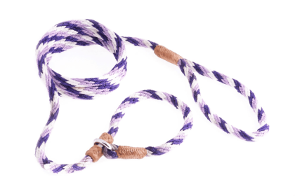 Nylon Slip Leash With 2 Stoppers (6ft  x 5/16in or 8mm) (Color: Purple Combination, size: 6ft  x 5/16in or 8mm)