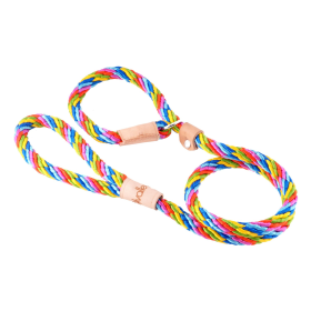 Sport Slip Lead With Stopper (4 ft  x 1/2in or 13mm) (Color: Multineon, size: 4 ft  x 1/2in or 13mm)