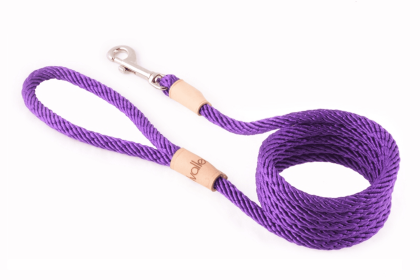 Sport Snap Lead (6 ft  x 5/16in or 8mm) (Color: Purple, size: 6 ft  x 5/16in or 8mm)