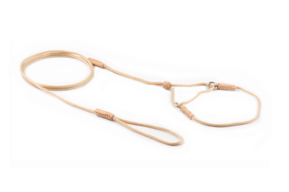 Nylon Martingale Leads (8in x 1/16 or 2 mm) (Color: Gold, size: 8in x 1/16 or 2 mm)