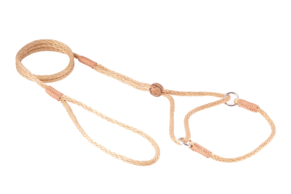 Nylon Martingale Leads (8in x 1/8in or 4mm) (Color: Gold, size: 8in x 1/8in or 4mm)