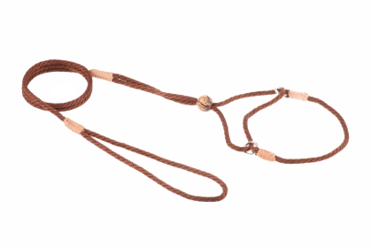 Nylon Martingale Leads (8in x 1/8in or 4mm) (Color: Brown, size: 8in x 1/8in or 4mm)