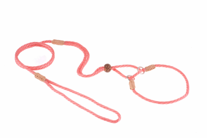 Nylon Martingale Leads (10in x 1/8in or 4mm) (Color: Peach, size: 10in x 1/8in or 4mm)