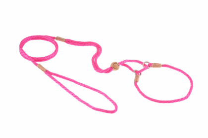 Nylon Martingale Leads (10in x 1/8in or 4mm) (Color: Hot Pink, size: 10in x 1/8in or 4mm)