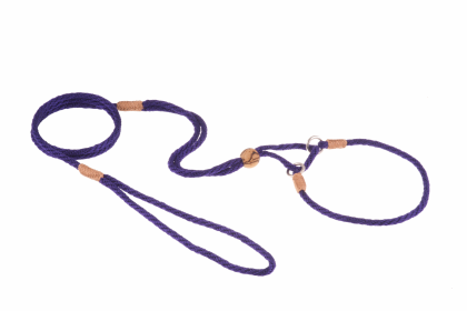 Nylon Martingale Leads (10in x 1/8in or 4mm) (Color: Purple, size: 10in x 1/8in or 4mm)