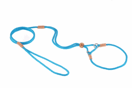 Nylon Martingale Leads (10in x 1/8in or 4mm) (Color: Turquoise, size: 10in x 1/8in or 4mm)
