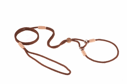 Nylon Martingale Leads (10in x 1/8in or 4mm) (Color: Brown, size: 10in x 1/8in or 4mm)