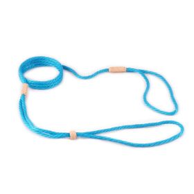 Nylon Adjustable Loop Lead (52in x 1/8in or 4mm) (Color: Turquoise, size: 52in x 1/8in or 4mm)