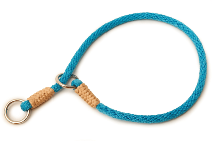 Nylon Slip Collars (14 in x 1/8in or 4mm) (Color: Turquoise, size: 14 in x 1/8in or 4mm)