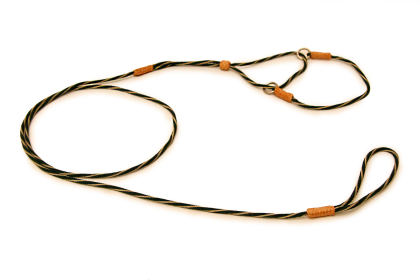Nylon Martingale Leads (8in x 1/8in or 4mm) (Color: Hunter Green / Gold, size: 8in x 1/8in or 4mm)