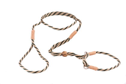 Nylon Martingale Leads (8in x 1/8in or 4mm) (Color: Gold / Hunter Green, size: 8in x 1/8in or 4mm)