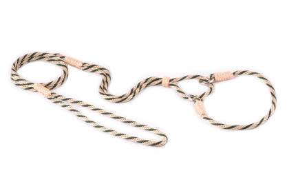 Nylon Martingale Leads (10in x 1/8in or 4mm) (Color: Gold / Hunter Green, size: 10in x 1/8in or 4mm)