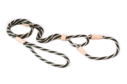 Nylon Martingale Leads (10in x 1/4in or 6mm) (Color: Hunter Green / Gold, size: 10in x 1/4in or 6mm)