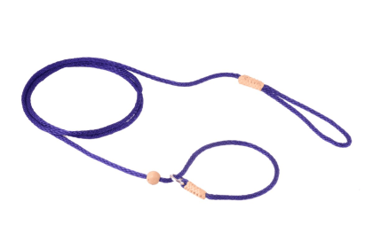 Nylon Slip Lead With Stopper (4 ft  x 1/16 or 2 mm) (Color: Purple, size: 4 ft  x 1/16 or 2 mm)