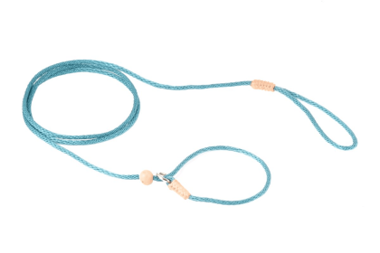 Nylon Slip Lead With Stopper (4 ft  x 1/16 or 2 mm) (Color: Teal Green, size: 4 ft  x 1/16 or 2 mm)