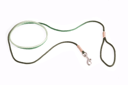 Nylon Snap Leads (4 ft  x 1/16 or 2 mm) (Color: Green Multicolor, size: 4 ft  x 1/16 or 2 mm)