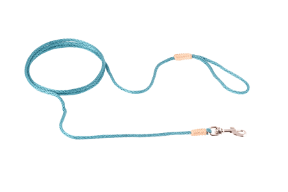 Nylon Snap Leads (4 ft  x 1/16 or 2 mm) (Color: Teal Green, size: 4 ft  x 1/16 or 2 mm)